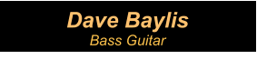 Dave Baylis Bass Guitar